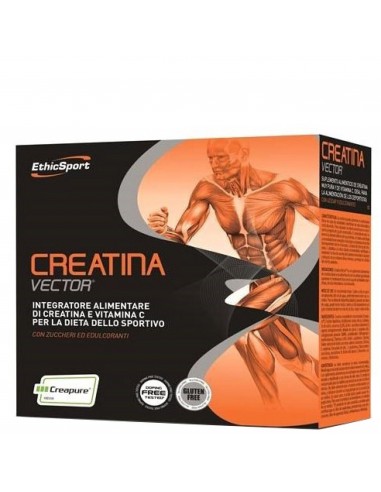 INTEGRATORE CREATINA VECTOR